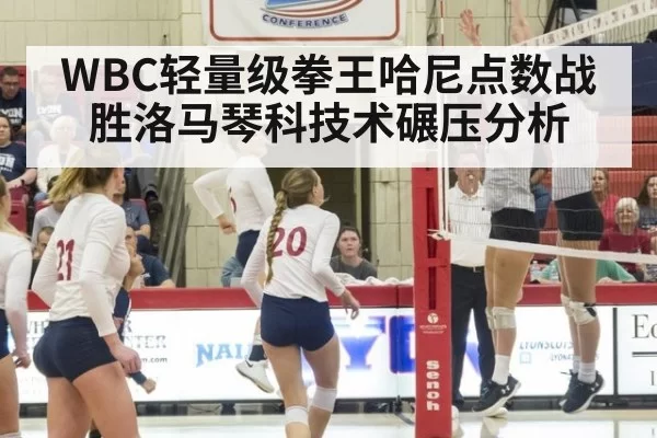 WBC轻量级拳王哈尼点数战胜洛马琴科技术碾压分析